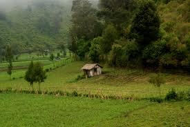 prayformuamba's profile picture. lets pray for him