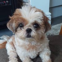 Hamish ๐ด๓ ง๓ ข๓ ณ๓ ฃ๓ ด๓ ฟ (@caledon65) 's Twitter Profile Photo Hamish ๐ด๓ ง๓ ข๓ ณ๓ ฃ๓ ด๓ ฟ (@caledon65) 's Twitter Profile Photo