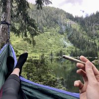 BugS (@bugsfps) 's Twitter Profile