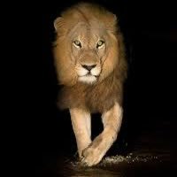 liafranz_24's profile picture. 