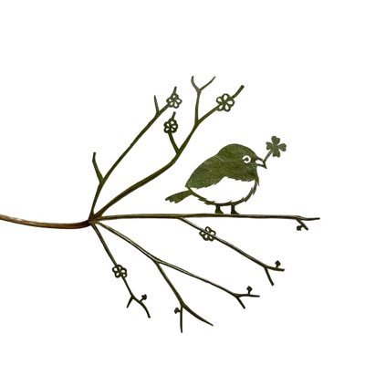 aminumanotori's profile picture. 