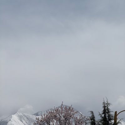 o2116625173213's profile picture. 