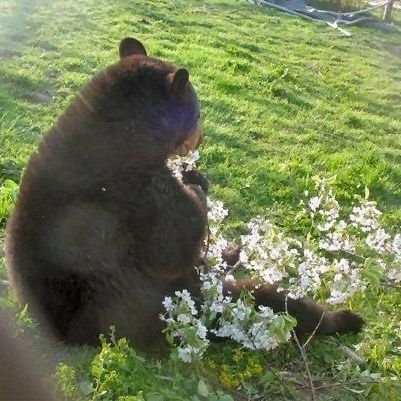 meltedwish's profile picture. 