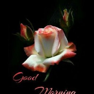 jyots_j's profile picture. 