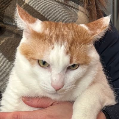 ユウさんのプロフィール画像