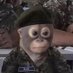 Stevie (@s16239059) Twitter profile photo Stevie (@s16239059) Twitter profile photo