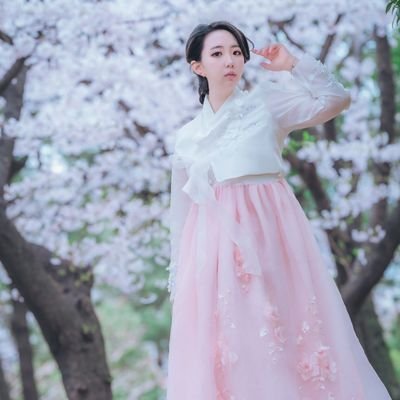 P박보 Profile