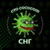 COCOCIS (@cococoincis) Twitter profile photo