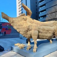 カミジョー (@msub_bus) Twitter profile photo