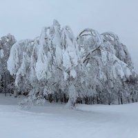 Snow180 (@tz223tz223sm) Twitter profile photo