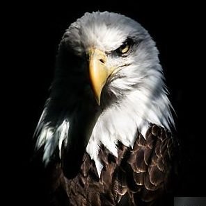 Nwanganga10's profile picture. 𝖲𝖾𝖾𝗄 𝗒𝖾 𝖿𝗂𝗋𝗌𝗍 𝗍𝗁𝖾 𝖪𝗂𝗇𝗀𝖽𝗈𝗆 𝗈𝖿 𝖦𝗈𝖽...
𝖬𝖺𝗍𝗍 𝟨:𝟥𝟥 (𝗄𝗃𝗏)
