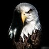 Nwanganga10's profile picture. 𝖲𝖾𝖾𝗄 𝗒𝖾 𝖿𝗂𝗋𝗌𝗍 𝗍𝗁𝖾 𝖪𝗂𝗇𝗀𝖽𝗈𝗆 𝗈𝖿 𝖦𝗈𝖽...
𝖬𝖺𝗍𝗍 𝟨:𝟥𝟥 (𝗄𝗃𝗏)