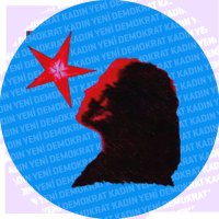 Yeni Demokrat Kadın (@ydkonline2) 's Twitter Profile Photo Yeni Demokrat Kadın (@ydkonline2) 's Twitter Profile Photo