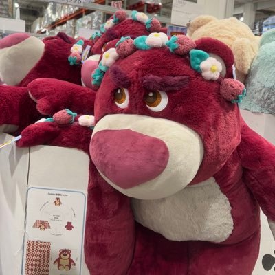 ハイキュー梟谷🦉 IVEウォニョンちゃん🐰 バレー石川くん🏐ずっと趣味垢作ってなかったので最近作りました！検索から声かけさせていただきます🙇🏻‍♂️ 成人済み/千葉 都内