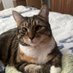 Caroline Lake-Smith (@carolinelakesm2) Twitter profile photo Caroline Lake-Smith (@carolinelakesm2) Twitter profile photo