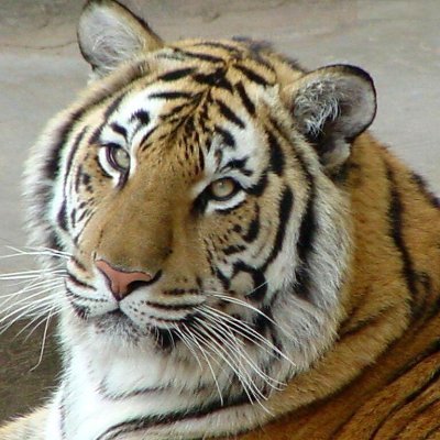 xeugenicx's profile picture. 