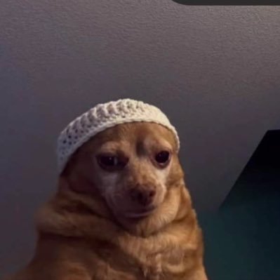 abex_wire's profile picture. u can't hurt me.. I’ve seen it coming a while ago when i was overthinking🙂👌