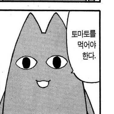12373839sk's profile picture. 토마토를 먹어야 한다