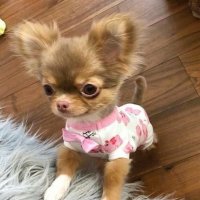 뮹 (@bxxm_mz) 's Twitter Profile Photo