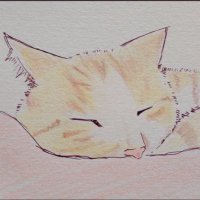 ともちゃ@猫愛 (@brave0821) 's Twitter Profile