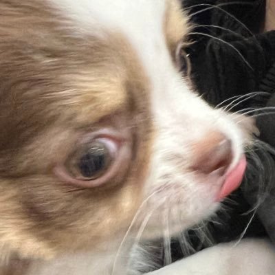 みちゃんさんのプロフィール画像