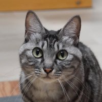 nori (@nori87) 's Twitter Profile