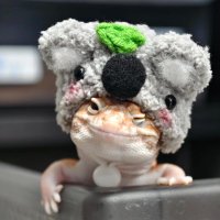 ❁🦎 (@silently2020) 's Twitter Profile