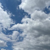niwojiefanren1989 (@hmlonai) 's Twitter Profile