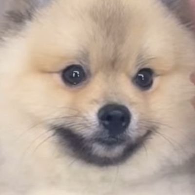 Yemomo4's profile picture. 🌻❤️‍🔥