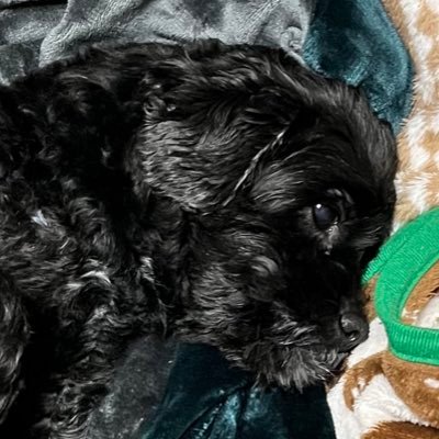 Taiga8924355461's profile picture. 