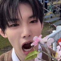 chi (@jinjkgyu) 's Twitter Profile