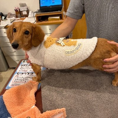 ruhHvhImvF46461's profile picture. 