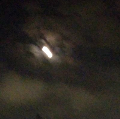 run_maru_funrun's profile picture. 現在大学2年生♪20キロ(PB1:18:29),ハーフ(PB1:23:33),フルマラソン(今年秋初マラソン予定)走ってます♪無言フォローすみません、気軽にフォローしてもらえると嬉しいです♪