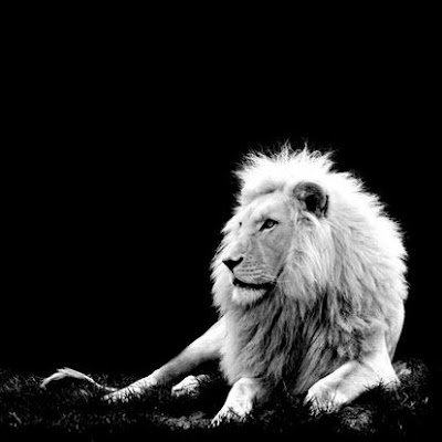 JackKline0's profile picture. 