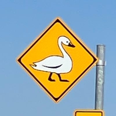 sandie_8823's profile picture. ITF.25 ccc fv52