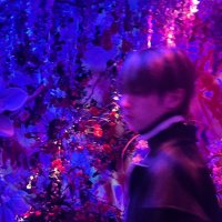 ミイ (@fenfen_06) Twitter profile photo