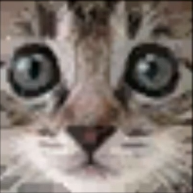 morphss's profile picture. 