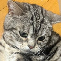 so_ru (@jgpcicv5) 's Twitter Profile