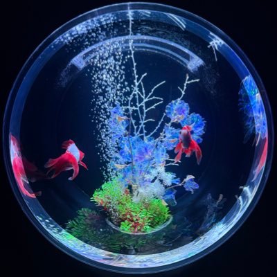 kM9stSZU's profile picture. カフェ巡って美味しいものを共有します🥳