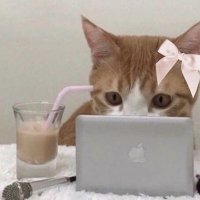 KinAn²⁵⭑.ᐟ free tag to (@rosequartzj) 's Twitter Profile