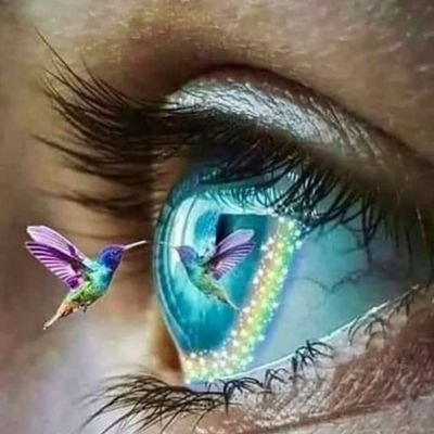 Been a wild ride. Spiritually Awakened, True Patriot doggie mom MAGA/MAHA WWG1WGA🇺🇲❤️💪🐸😎