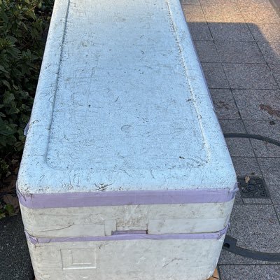 スプラ好き