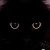 Nina SabrinašŖ*ā “tā *ļ¾ā + (@_ninaverse) 's Twitter Profile