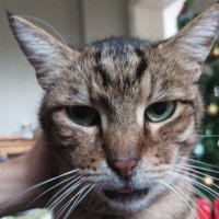 Emre (@emrejughashvili) 's Twitter Profile