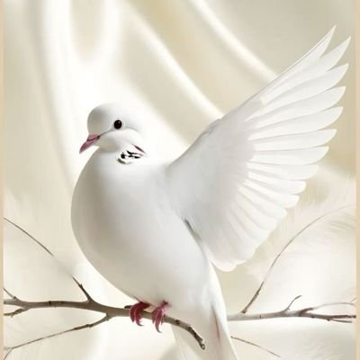 I am an OBIDIENT CHILD, easy going person. 💕 💕
Lover of God.
Lover of music..
Favourite colour Black
God Reigns!
I Rule !!
My Fans Rock!!!
My Haters Suck !!!!