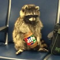 stef23001's profile picture. love space follow for cool space video’s