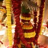 princetiwaristm's profile picture. भाजपा जिला मंत्री सीतामढ़ी, बिहार प्रदेश