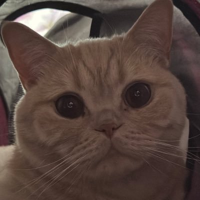 yutubır, evet başo diye okunuyo..
(profilimde paylaştığım parfümler hobimle ilgili, hiçbir parfüm firmasıyla işbirliğim veya reklam anlaşmam yok.)