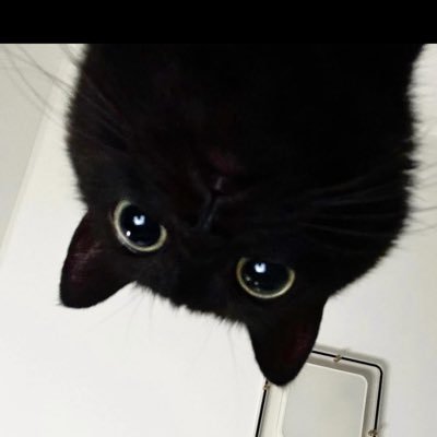 126_chalkak's profile picture. ʏᴏᴜʀ ᴍᴏᴍᴇɴᴛs ɪɴ ᴍʏ ᴍᴇᴍᴏʀʏ, ᴄʜᴀʟᴋᴀᴋ📸 | ᴍᴏɴsᴛᴀ х ɪ.ᴍ