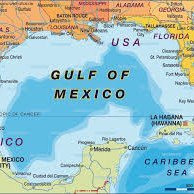 Specializing in trolling for MAGA in the beautiful waters of the Gulf of Mexico